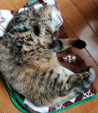 �u���O�ʐ^