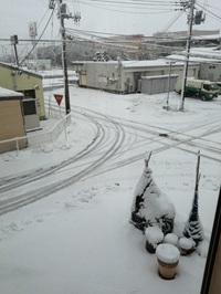 �u���O�ʐ^