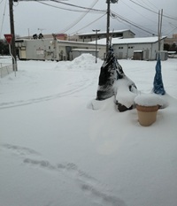 �u���O�ʐ^