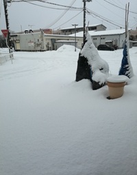 �u���O�ʐ^