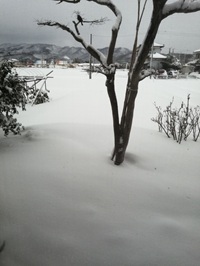 �u���O�ʐ^